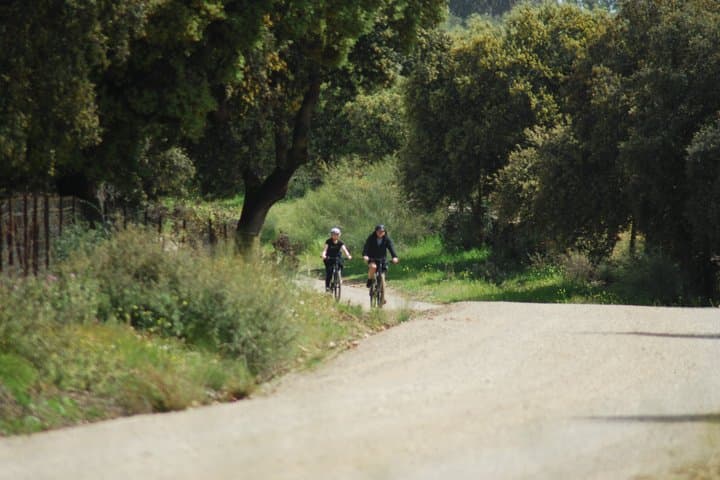 E-Bike Tour from Ronda to Setenil de las Bodegas
