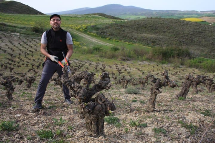 Private Tour of LMT Winery in Pamplona with Wine Tasting