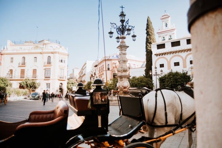 Seville Private Carriage Ride Tour
