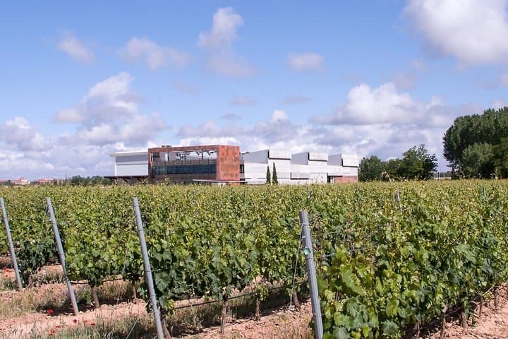 Premium Wine Tour and Wine Tasting in Aranda de Duero