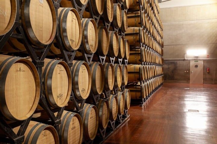 Premium Wine Tour and Wine Tasting in Aranda de Duero