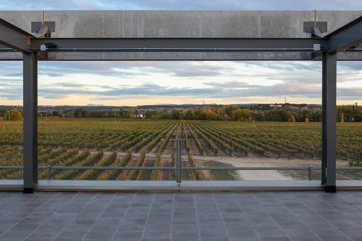 Wine Tasting Tour in Aranda de Duero