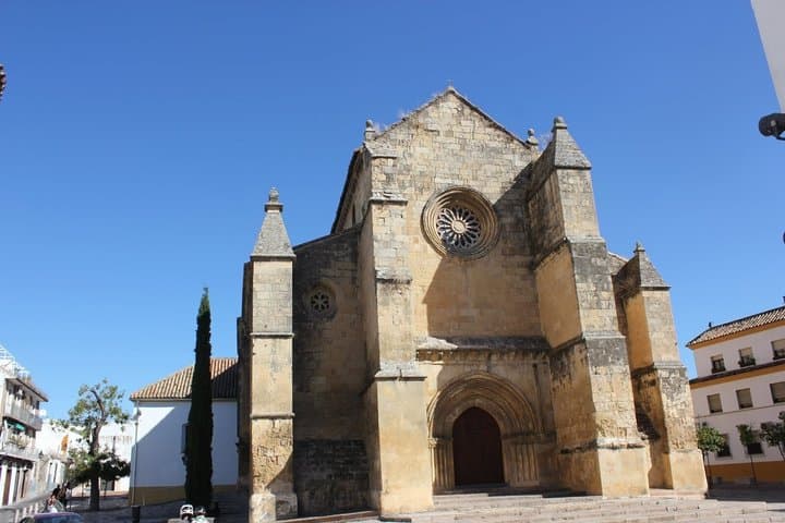 Private Tour of Cordoba with entrance fees to Fernandine Churches