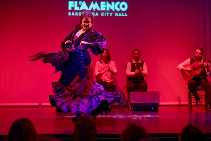 Flamenco Show Ticket at Theatre Barcelona City Hall