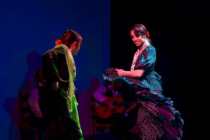 Flamenco Show Ticket at Theatre Barcelona City Hall