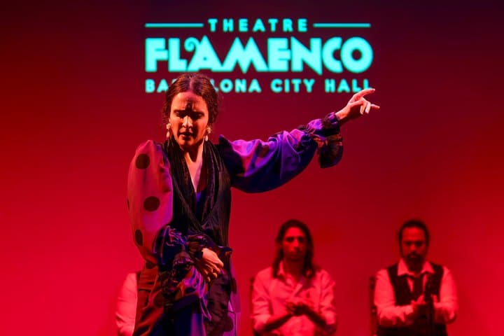 Flamenco Show Ticket at Theatre Barcelona City Hall