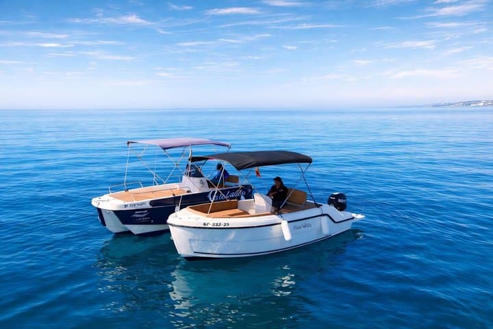 Private boat rental without title dolphin watching