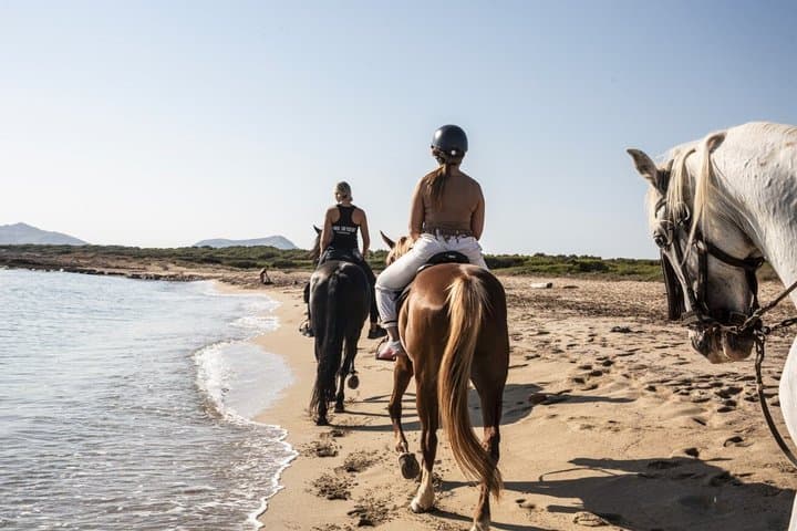 Horse Riding in Mallorca on the Beach and Forest