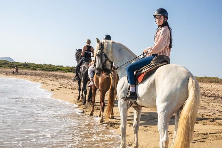 Horse Riding in Mallorca on the Beach and Forest