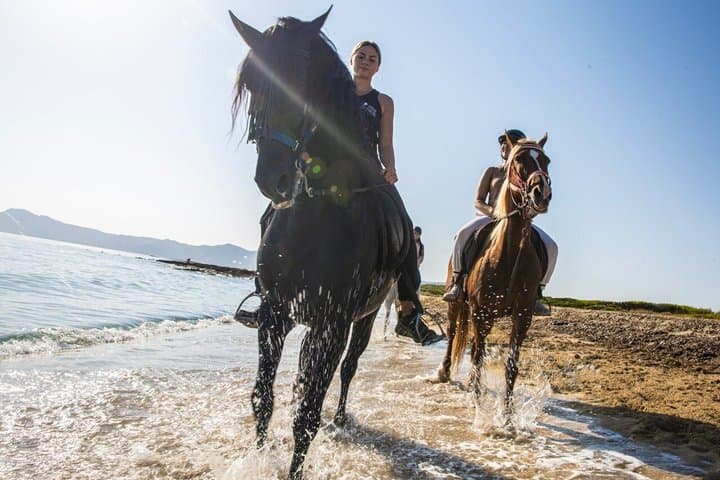 Horse Riding in Mallorca on the Beach and Forest