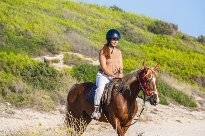 Horse Riding in Mallorca on the Beach and Forest