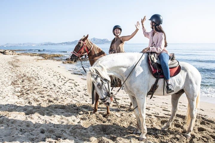 Horse Riding in Mallorca on the Beach and Forest