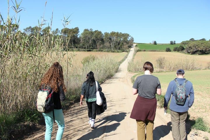 Sunprints - A cyanotype workshop in nature with picnic