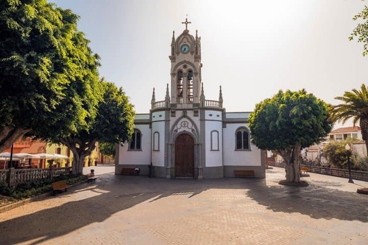 Historical Walk & Eco Banana Farm Tour in Guía de Isora, Tenerife