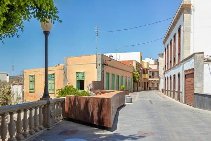 Historical Walk & Eco Banana Farm Tour in Guía de Isora, Tenerife