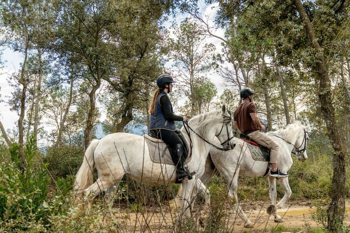 Private Horseback in Montserrat Natural Park