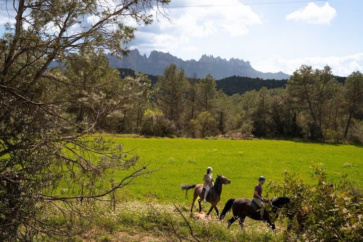 Private Horseback in Montserrat Natural Park