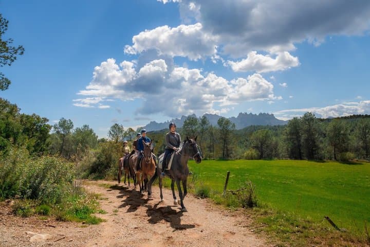 Private Horseback in Montserrat Natural Park