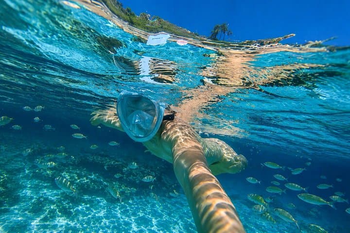 Snorkel y SUP en Caló des Moro Cala S'Almunia y Cala Santanyí