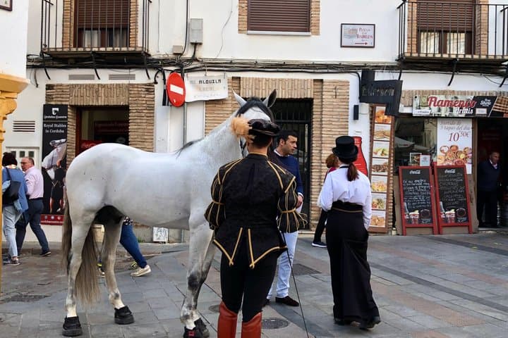 Andalusia VIP Seville Granada and Cordoba in Private from Madrid