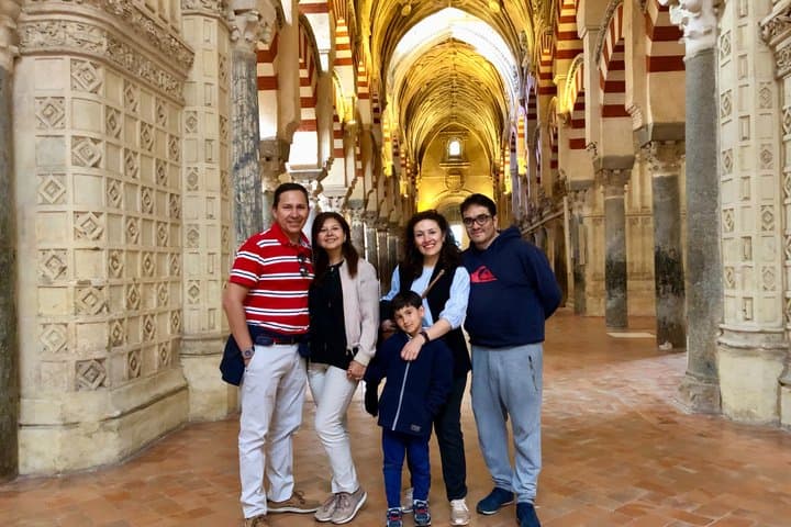 Andalusia VIP Seville Granada and Cordoba in Private from Madrid