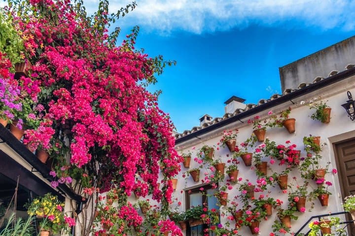 Andalusia VIP Seville Granada and Cordoba in Private from Madrid
