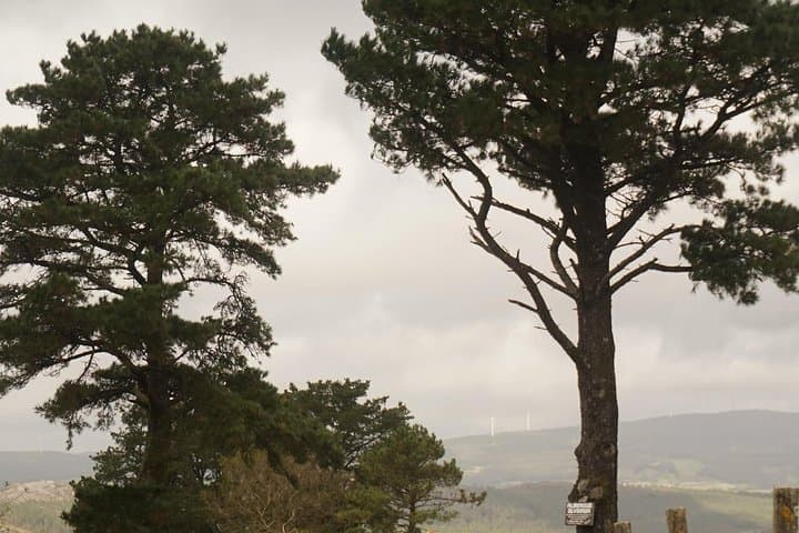 Camino de Santiago Sarria to Santiago 6 to 7 Days Tour