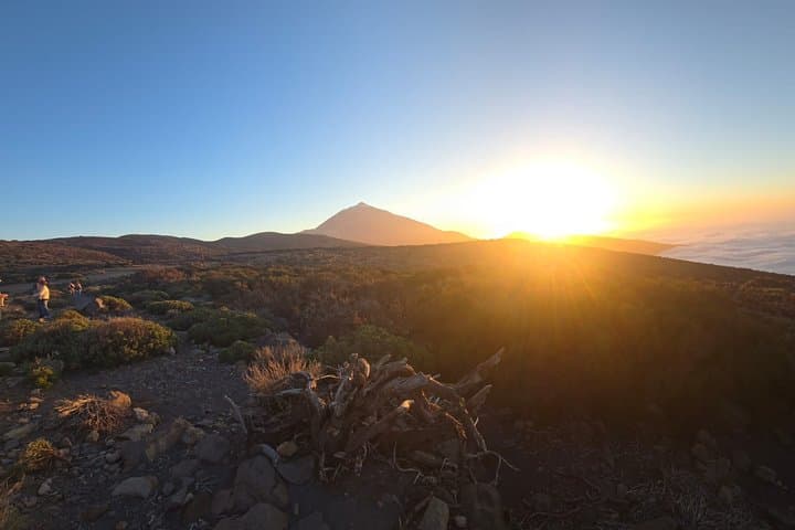 Teide Night Tour with Dinner and Astronomical Observation