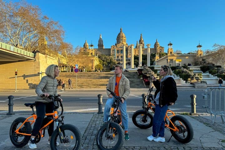 Barcelona Montjuïc E-Bike Tour: Castle, Views & Highlights
