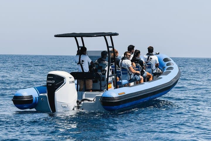 Coastal excursion with cetacean search island of La Palma