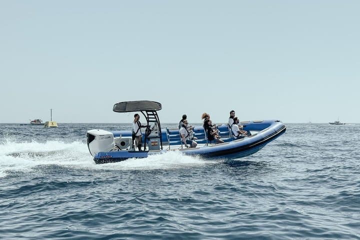 Coastal excursion with cetacean search island of La Palma
