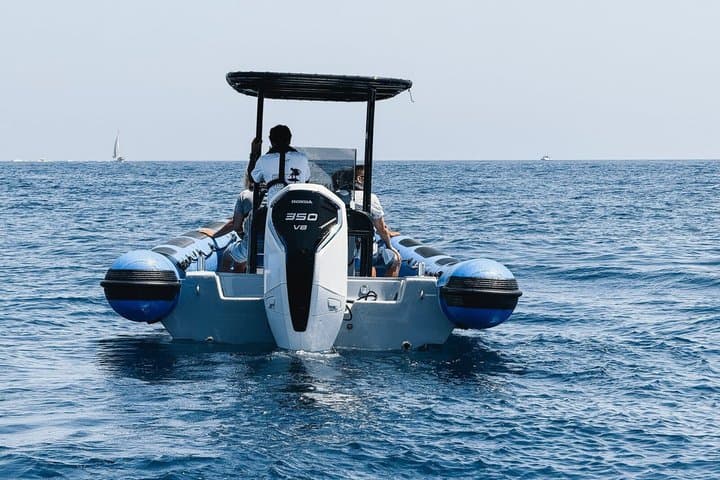 Coastal excursion with cetacean search island of La Palma