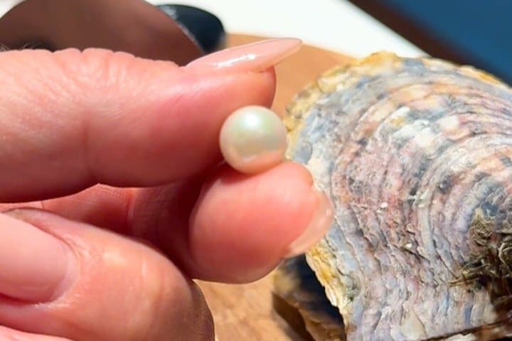 Tenerife Pick A Pearl Experience