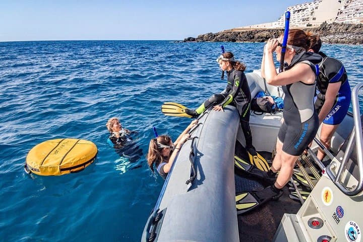 Tenerife Guided Snorkeling Tour with Gear