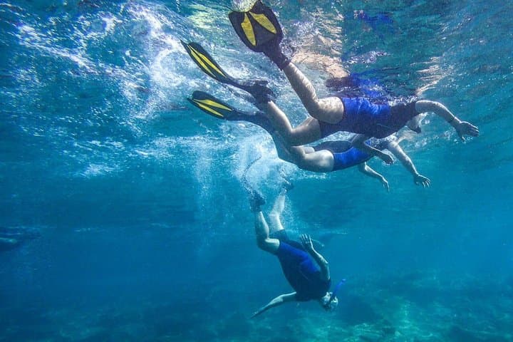 Tenerife Guided Snorkeling Tour with Gear