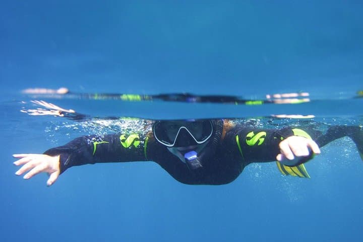Tenerife Guided Snorkeling Tour with Gear