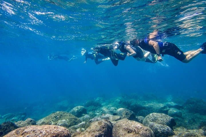 Tenerife Guided Snorkeling Tour with Gear