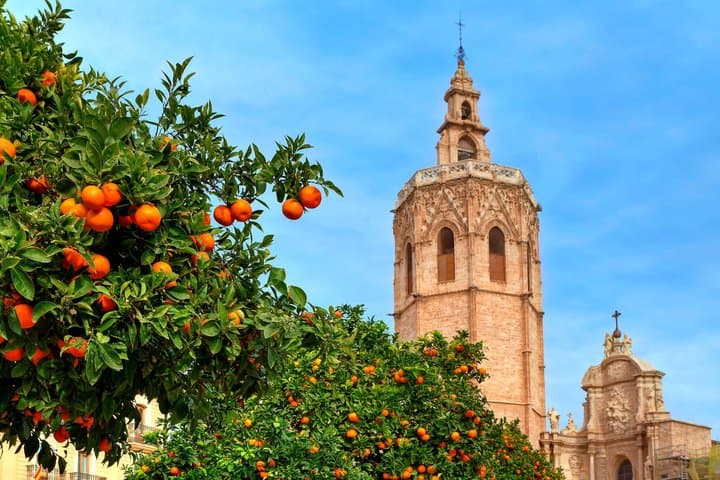 Valencia Walking Tour with Audio Guide on your Smartphone