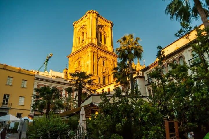 Alhambra And Nasrid Palace tickets Entry Assistance+Tourist Train