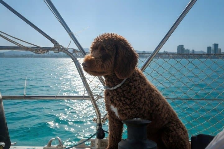 2 Hour Private Charter by Boat in Barcelona
