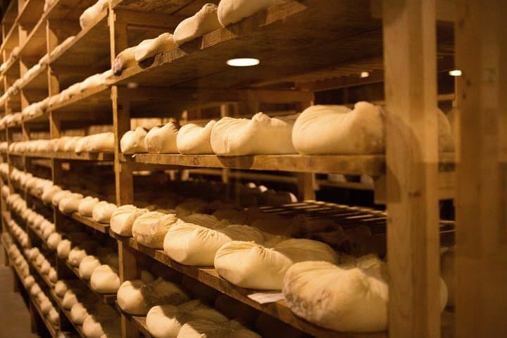 Cheese Factory Workshop with Wine Tasting in Requena, Valencia