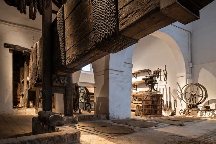 Wine Tasting Oldest winery in Seville · Bodegas Góngora