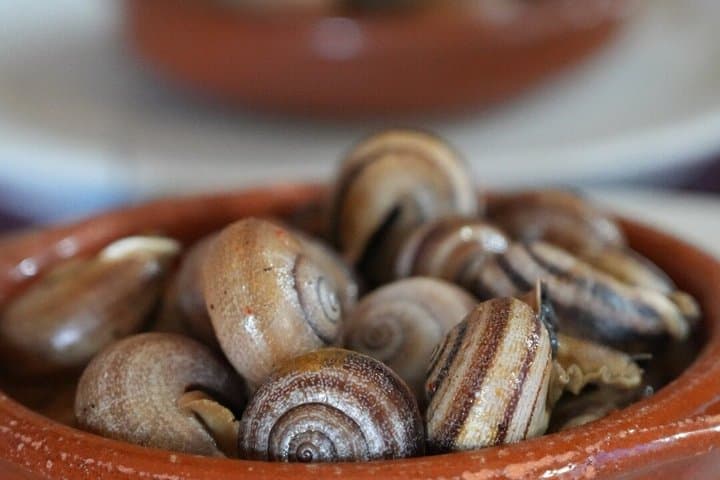 Self-Guided Tapas Tour of Granada