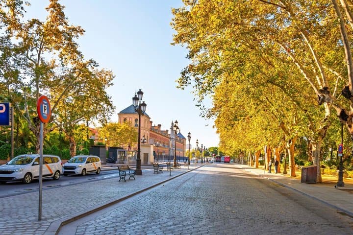 Seville Old Town Highlights Private Guided Walking Tour