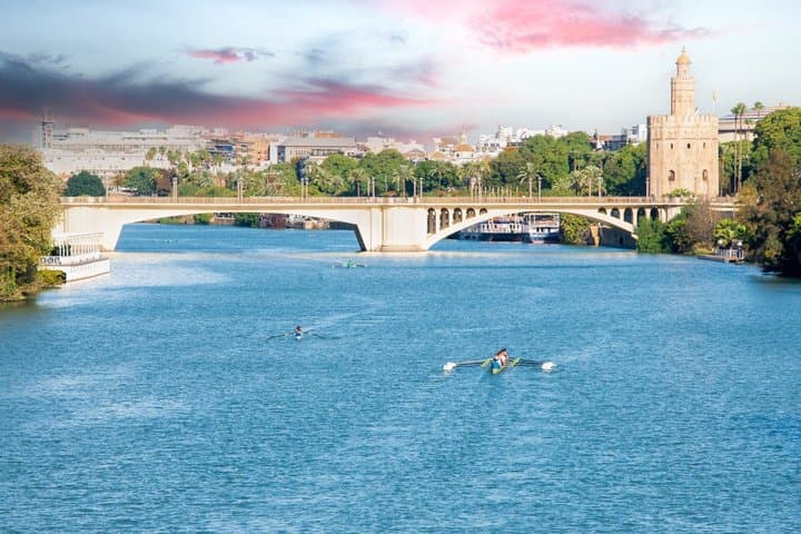 Seville Old Town Highlights Private Guided Walking Tour