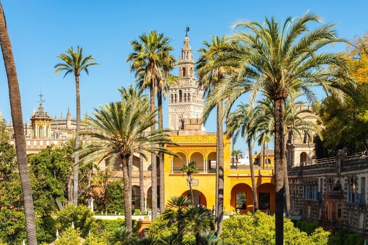Seville Old Town Highlights Private Guided Walking Tour