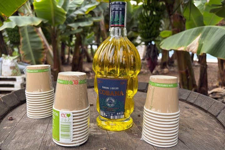 Historical Walk & Eco Banana Farm Tour in Guía de Isora, Tenerife