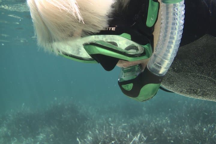 Menorca Private Snorkeling with Local Underwater Guide in Fornells