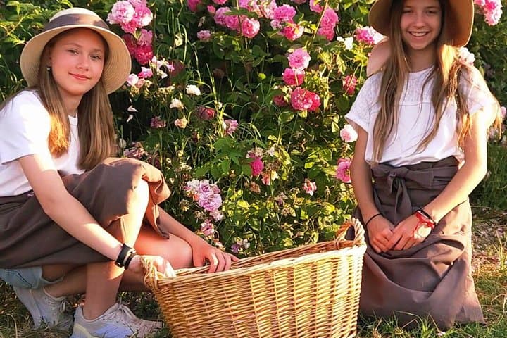 Damask Rose Harvest Experience in Barcelona