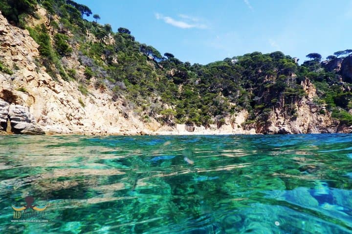 Boat trip from Platja d'Aro to Calella de Palafrugell